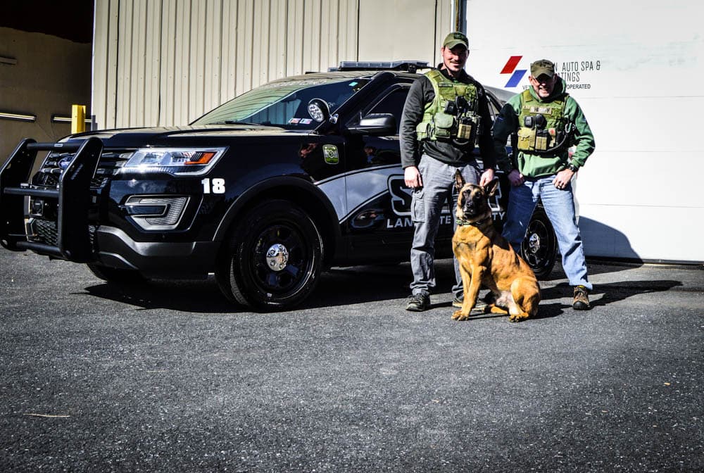 Business listing image