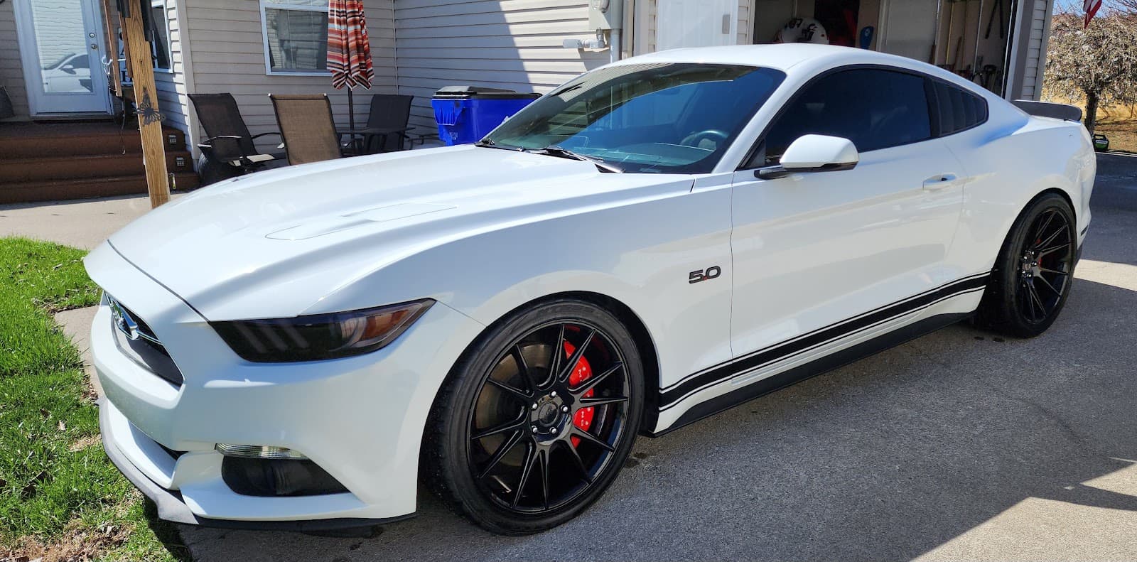 Business listing image