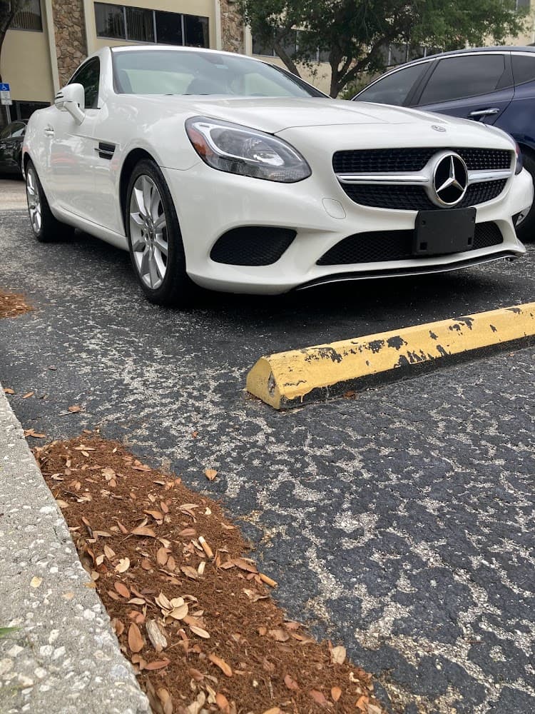 Business listing image