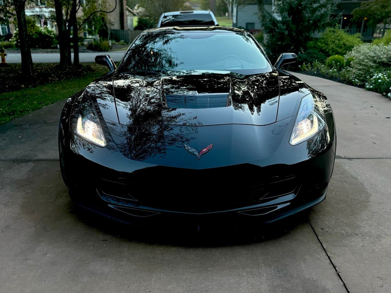 Business listing image