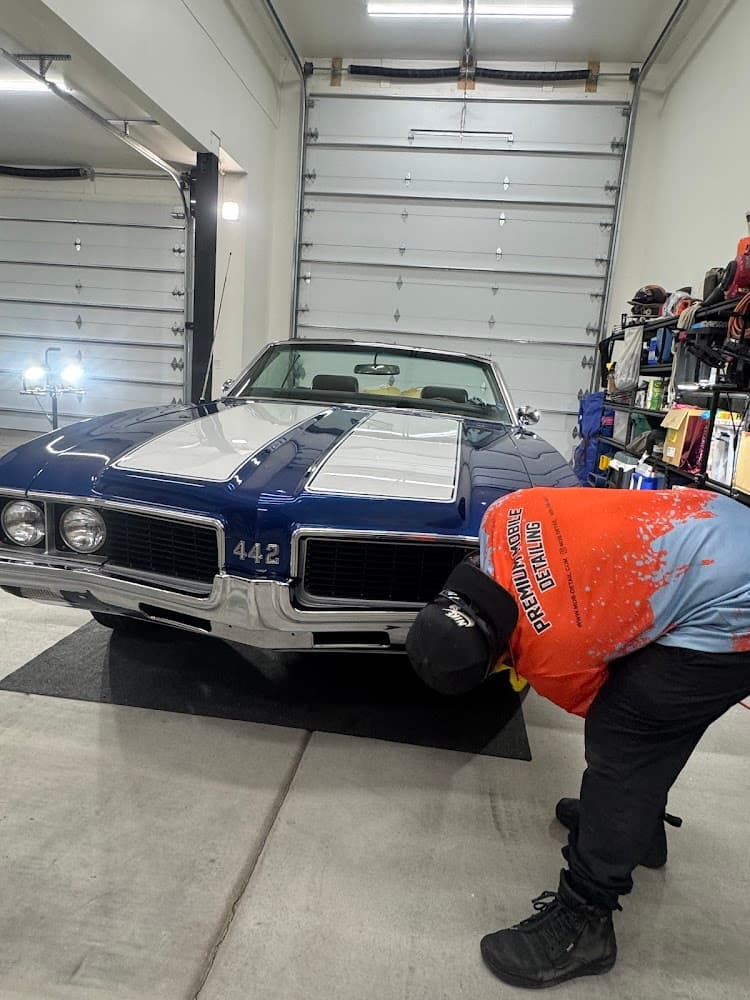 Business listing image