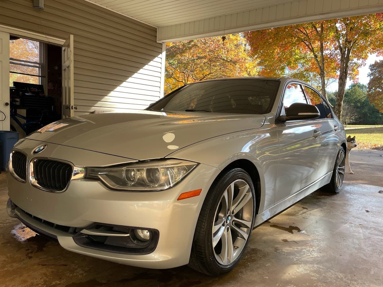 Business listing image