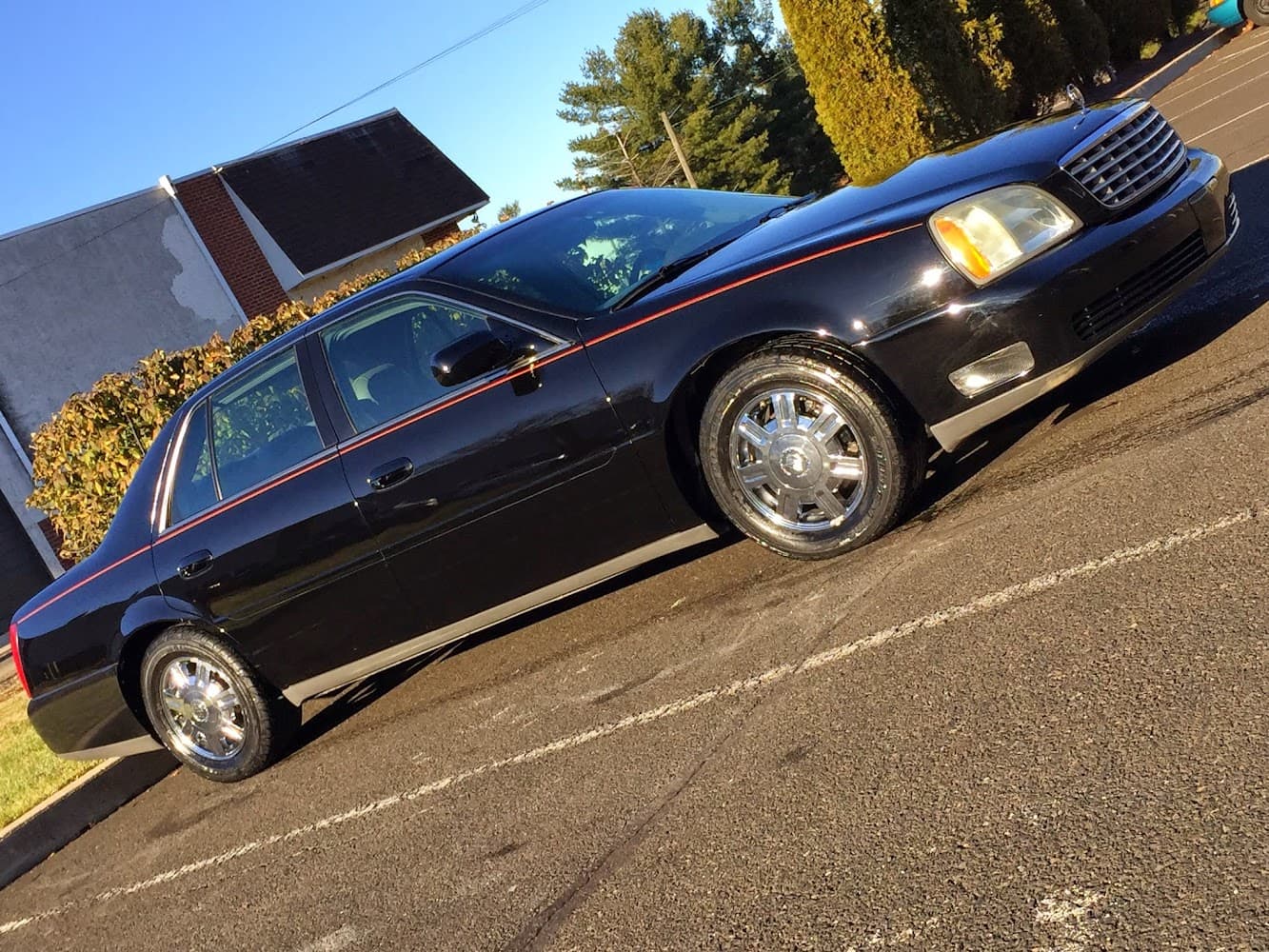 Business listing image