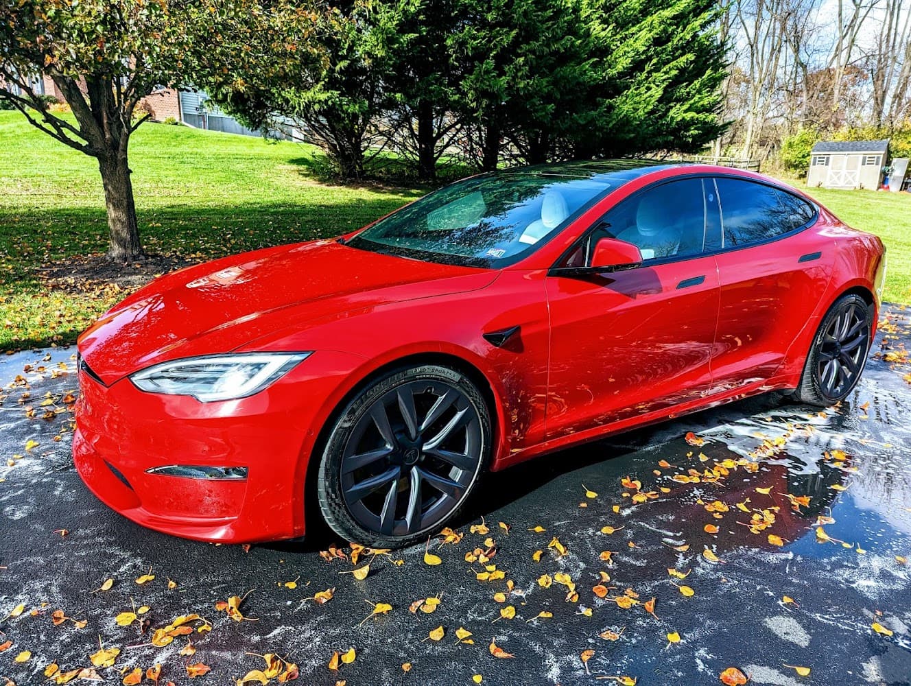 Business listing image