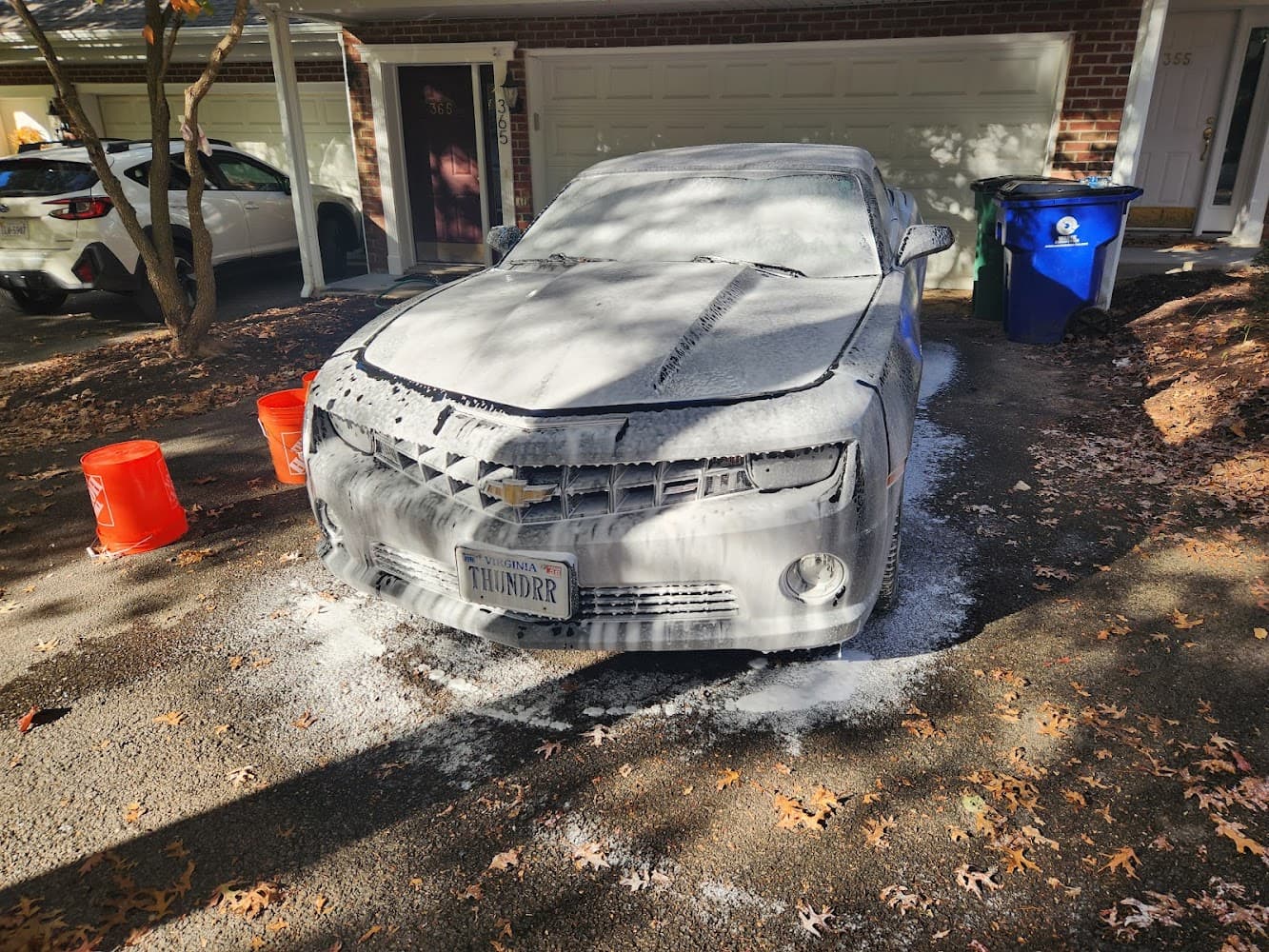 Business listing image