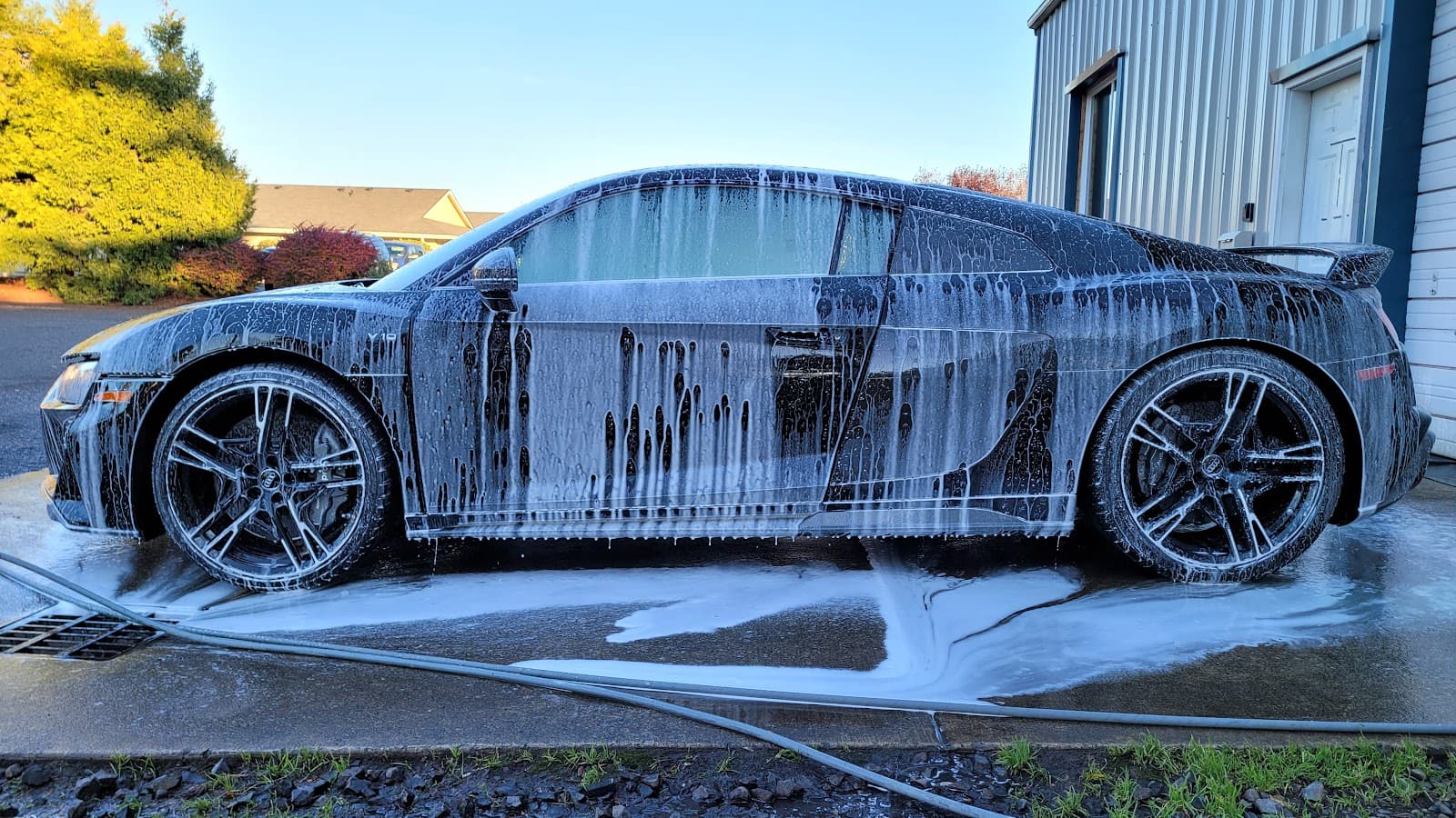 Business listing image