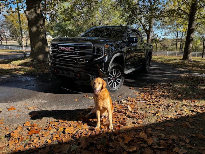 Business listing image