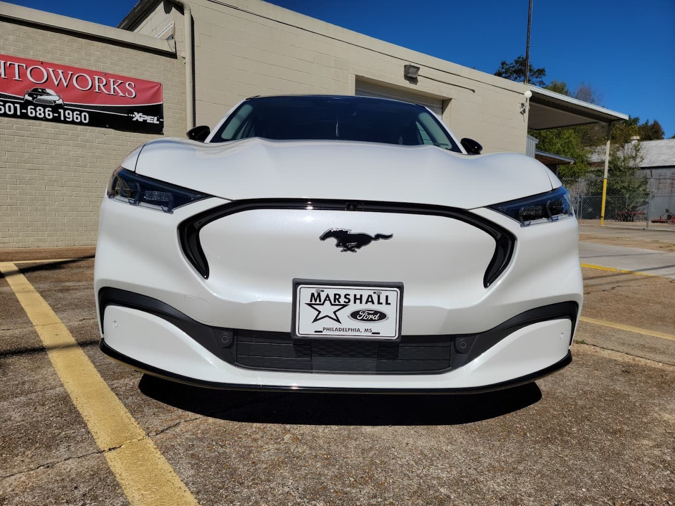 Business listing image