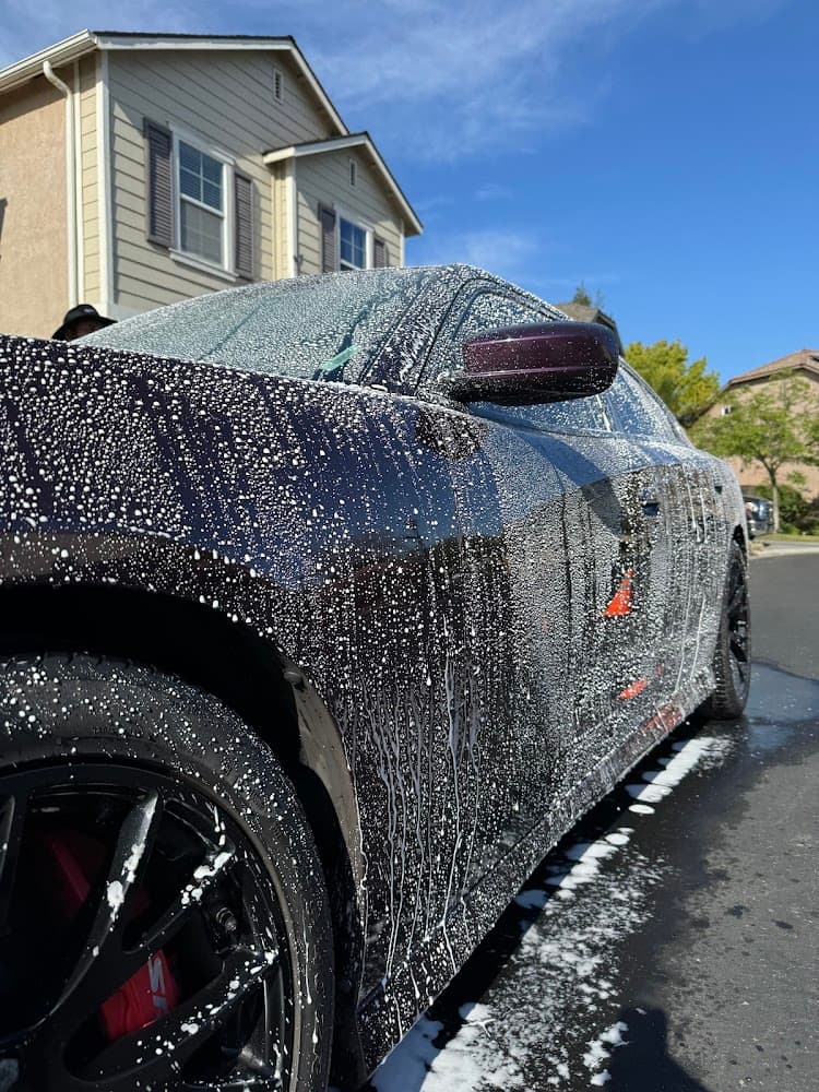 Business listing image