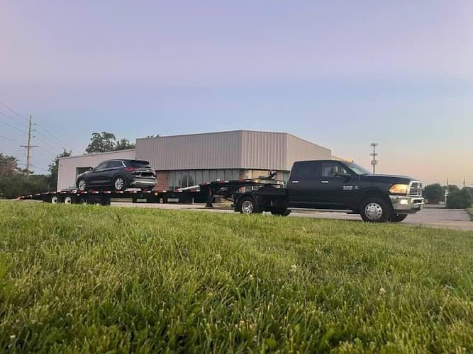 Business listing image