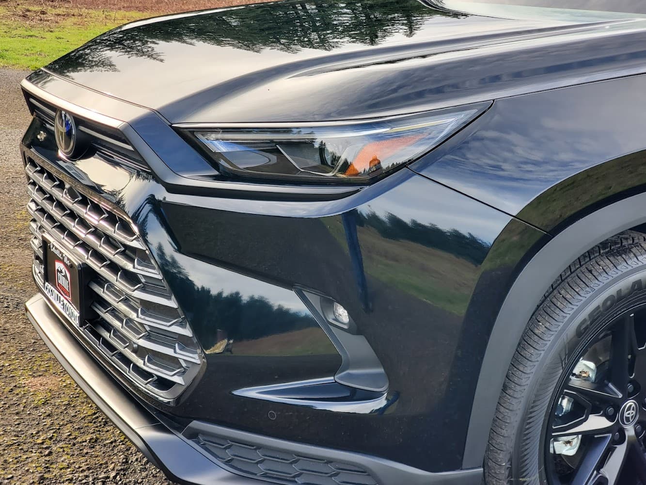 Business listing image