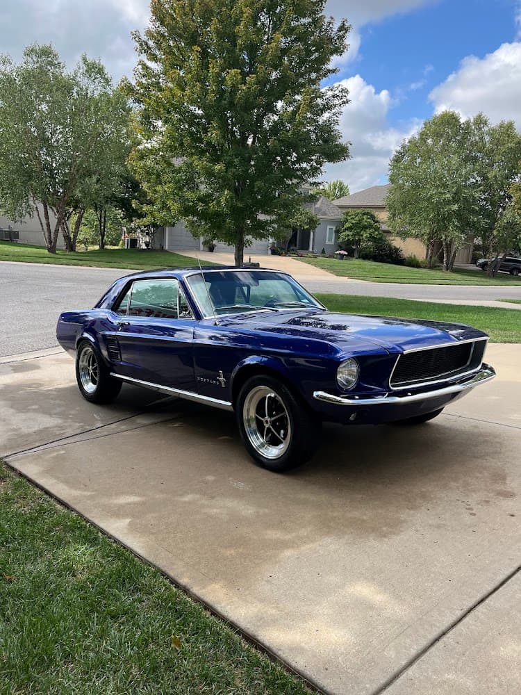 Business listing image