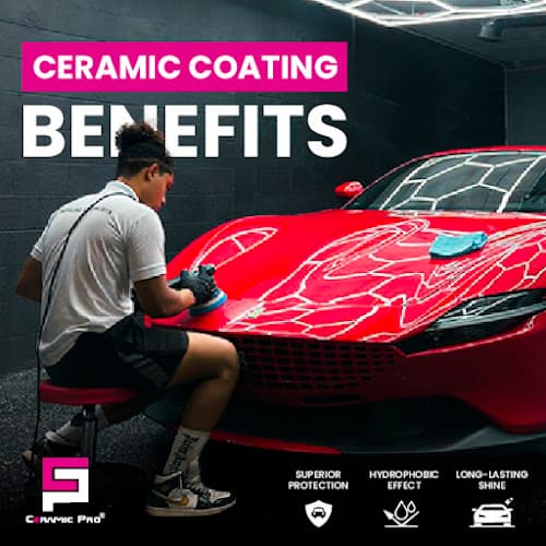 Business listing image