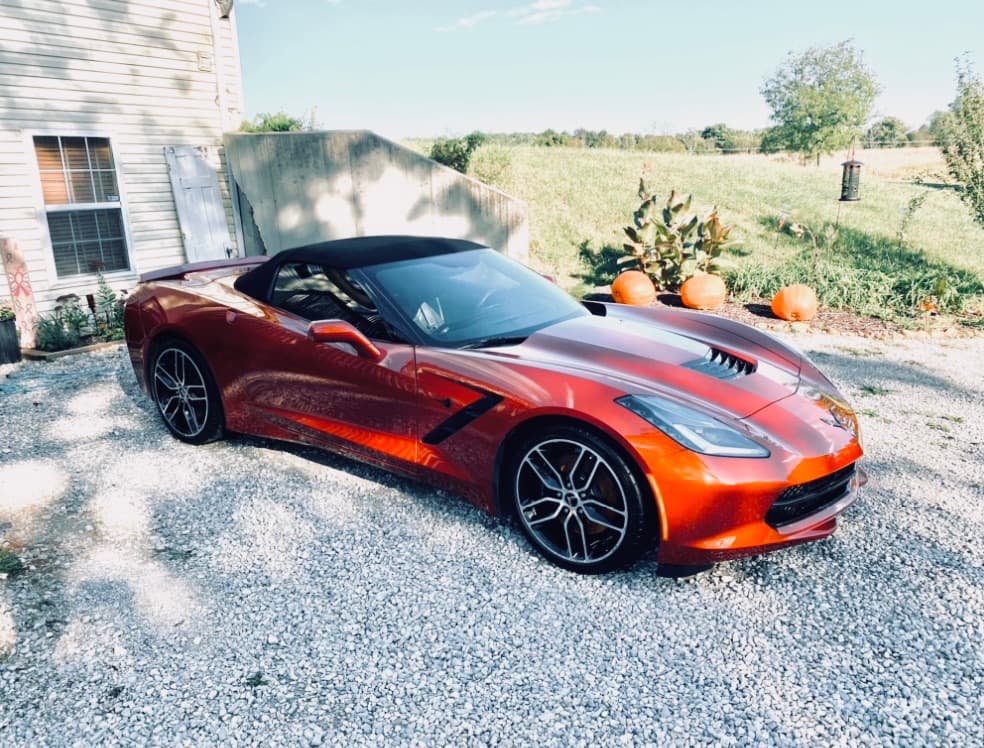 Business listing image