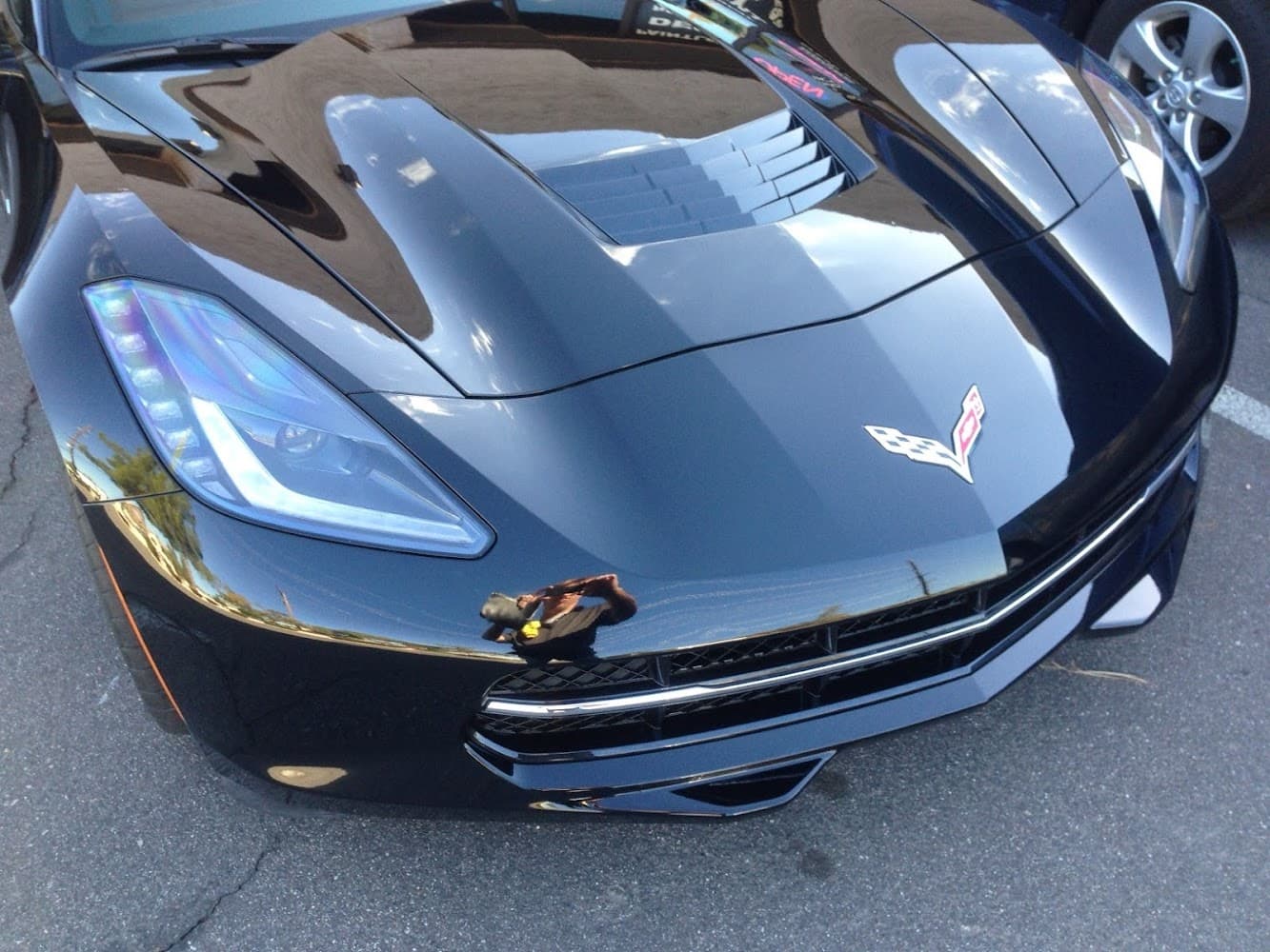 Business listing image