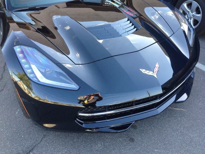 Business listing image