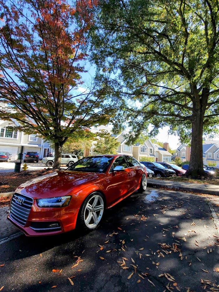 Business listing image